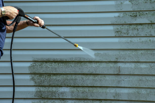 Best Deck Pressure Washing  in Hampton, TN