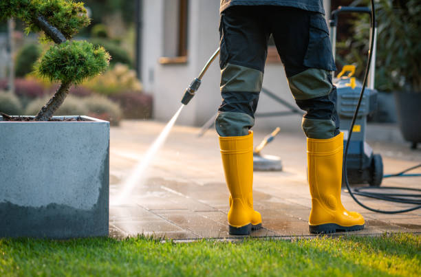 Best Exterior Home Cleaning  in Hampton, TN